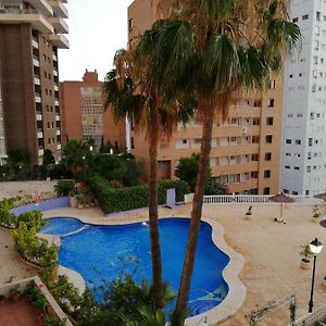 Apartment Diamond